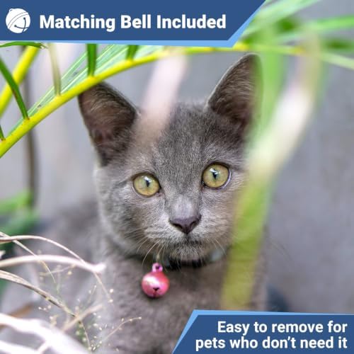 GoTags Personalized AirTag Cat Collar, Adjustable Breakaway Safety Buckle