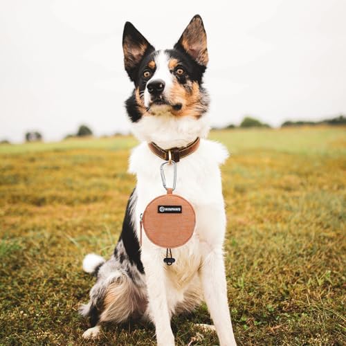 Dog Poop Bag Holder for Leashes- Dog Treat Pouch with Waterproof Zipper,Puppy Training Small Bag with Carabiner & Bungee Toggle,Two Pockets for Dry or Wet Treats-Pet Travel Walking Essentials (Orange)