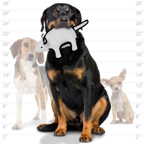 TUFFY® : 2 Pack Mouse Dog Toy: Ultra Durable Plush Toy with Multiple Layers & Reinforced Seams, Washable and Floats, Original Construction