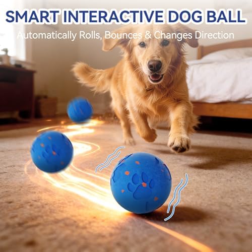 Interactive Dog Toy Ball, Smart Automatic Moving Dog Toy for Medium Large