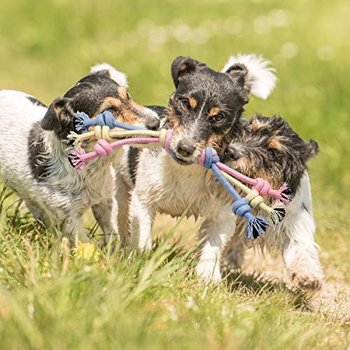 Puppy Chew Toys - Interactive Teething Dog Rope Toy & Balls for Small Dogs