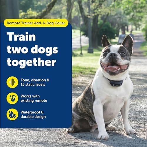 PetSafe Lite Add-A-Dog Receiver Collar, Waterproof, Tone / Vibrations / 15 Levels of Lighter Static Stimulation for Timid Dogs for 8 lb.
