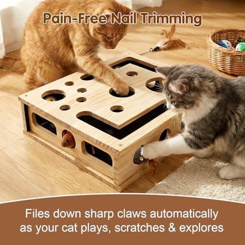 Cat Nail File Scratcher, Cat Scratch Puzzle Enrichment Box with Sandpaper Inside for Cat Claw Care, Stress-Free Trimming Nails, Puzzle Feeder Cat Toys Interactive for Indoor Cats (with Bell Balls)
