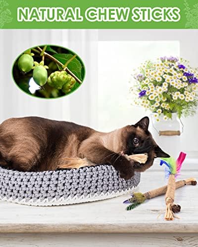 TINDTOP Silvervine Sticks for Cats with Natural Feather, Catnip Chew Toys