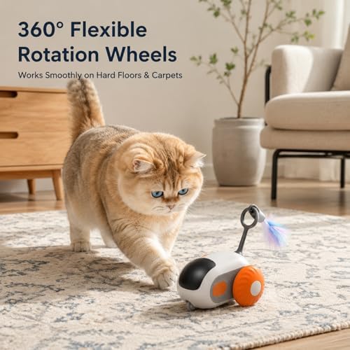 Remote Control Mouse Cat Toy, Smart Interactive Moving Cat Toy Car with Obstacle Avoid, USB Rechargeable Electric Kitten Exercise Toy for Indoor Cats（Orange）