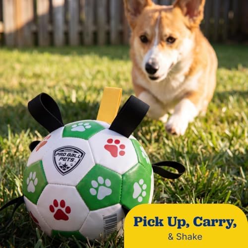 Maccabi Interactive Dog Soccer Ball for Dogs, 6” with Straps & Grab Tabs, Floats on Water, Fetch & Training Toy for Small/Medium Dogs, Herding Breeds, Waterproof Non-Toxic – ProBall Pets – Green Red