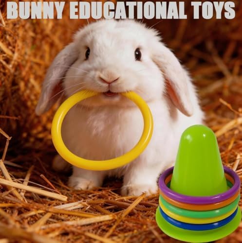 13PCS Rabbit Training Rings Toy for Small Pets, Bunny Enrichment 3 Stacking & 10 Rings for Adult Pet Owners