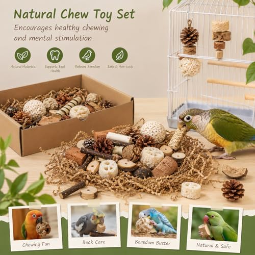 NOLITOY Natural Bird Toys for Conures: Parakeet Toys Parrot Foraging Wood Chewing Blocks & Hanging Bell Pendant Stick, Parrot Foraging Interactive Bundle for Macaw Small-Medium Birds
