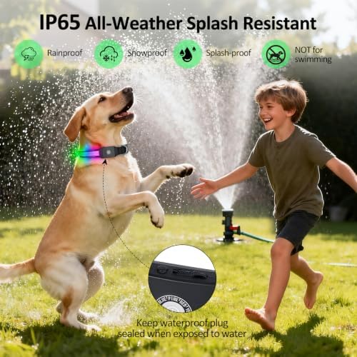 LED Dog Collar Light Up, USB Rechargeable Multicolor Glow Collar for Dogs