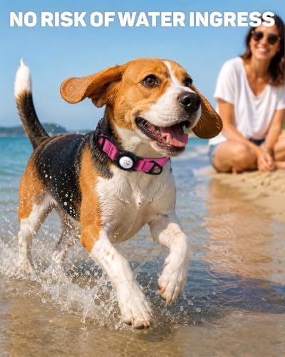 Padded Dog Collar with Waterproof Holder Compatible with Airtag