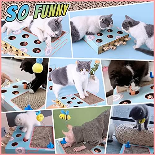 Enrichment Toys for Indoor Cats with cat Scratching pad, Cat Cardboard Box to Make Lots of Fun, cat Interactive Toy to Relieve Boredom and Train IQ