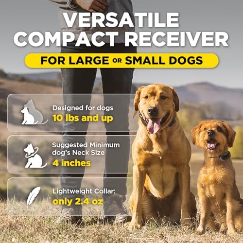 Dogtra 200iQ Professional Remote Training E Collar - 1/2 Mile, 100 Precision Levels, IPX9K Waterproof, Tone & Vibration – Seamless No-Look Control Off-Leash Confidence for Dogs 10lb+