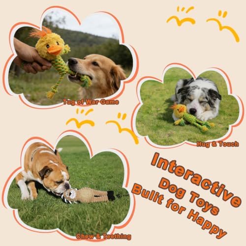 Duck Rope Dog Toy, Plush Lion Squeaky Dog Toy, 2 Pack