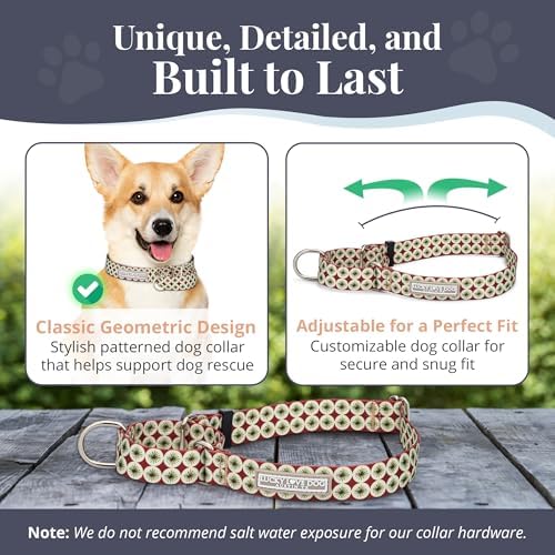 Lucky Love Dog Martingale Collar for Small Dogs No Slip Cute – Pongo, Small