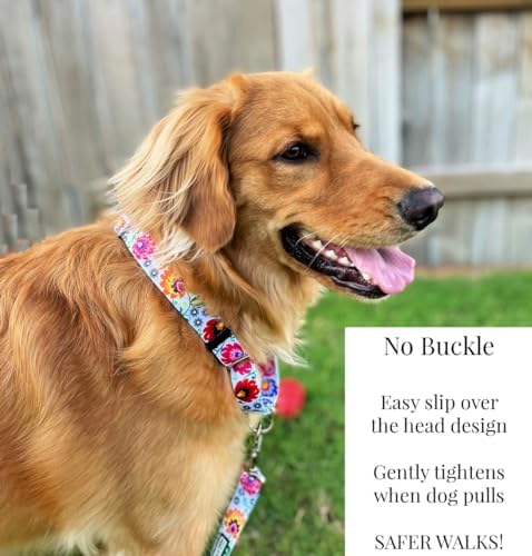 Lucky Love Dog Martingale Collar & Leash Set No Slip Cute – Ladybird, Small