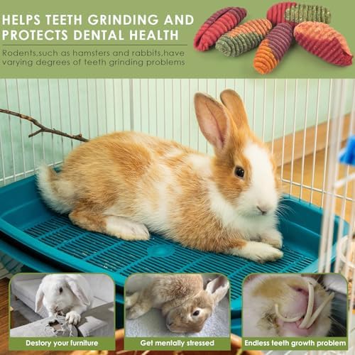 ERKOON Chinchilla Treats, Timothy Grass Chew Toys for Teeth for Rabbit Guinea Pig Gerbil Rat Dwarf Hamster (Large Size-3 Pack)