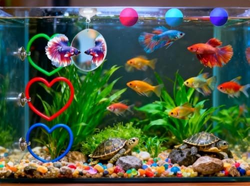 10pcs Betta Fish Tank Accessories Set Betta Hoop Heart Shape Enrichment Rings Hammock Hideout, Floating Mirror, Resting Spot, 2 Floating Balls, and Hideout Tunnel