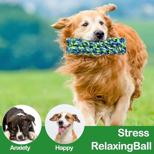 18 Pcs Dog Rope Toys Set Interactive Chew Balls Toys for Aggressive Chewers Large Medium Small Dogs Pet Puppy Teeth Cleaning Fun Training Birthday Gifts Blue Green