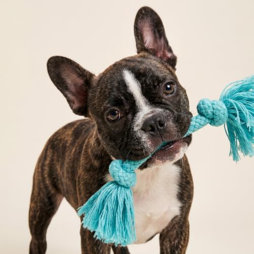 Playology Tug Rope Dog Toys for Small Dogs - Small, Peanut Butter Scent