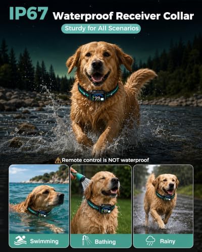 Sevy Buzzy 2-in-1 Dog Collar, Anti-Bark Training & Dog Training Collar
