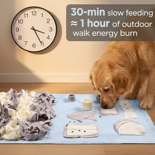 Snuffle Mat for Dogs: Slow Food Interactive Experience
