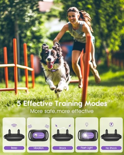 SLOPEHILL Dog Shock Collar 2 Dogs (8-140Lbs),4200FT Dog Training Collar | IP68 Waterproof e Collar with Beep,Vibration,Safe Shock,Flash Light,No Shock Model, Shock Collar for Dogs with Remote,Purple