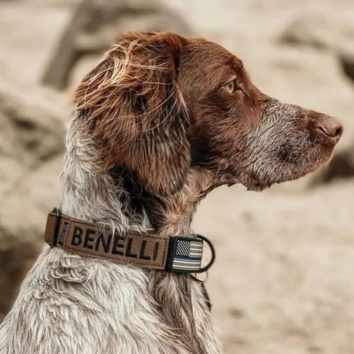 Personalized Tactical Dog Collar Name Phone Heavy Duty Nylon Handle