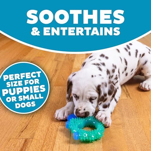 Cutie Chewies Hedgehog Dental Dog Chew Toy, Bounces & Floats, 5"