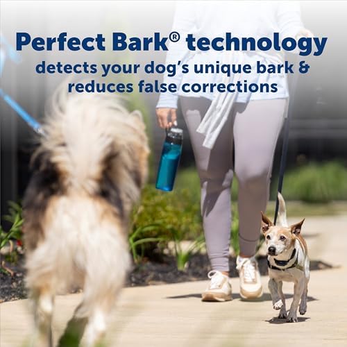 PetSafe NanoBark 2.0 Bark Collar for Small Dogs | 10 Static Levels, Responds Only To Your Dog's Bark, Up To 7-Day Battery, Rechargeable, Waterproof, Dogs 8 lb+, Neck 4-15 in