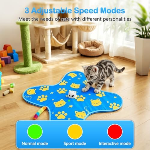 Interactive Cat Toys for Indoor Cats, Rechargeable Hide & Seek Toy