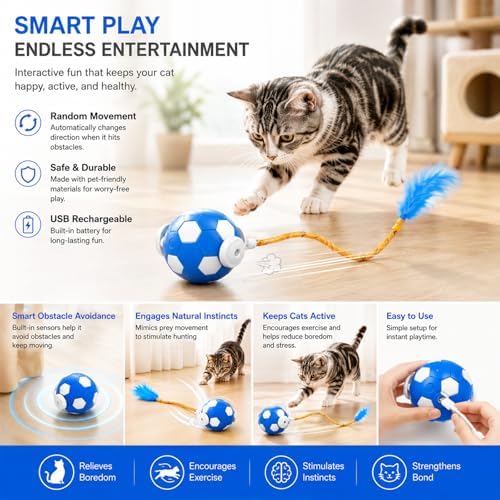 Cat Enrichment Toy, Chase Toy for Bored Indoor Adult Cats | cat feather toy|cat automatic toy|cat toys with bells|bouncy tails cat toysrechargeable cat toy