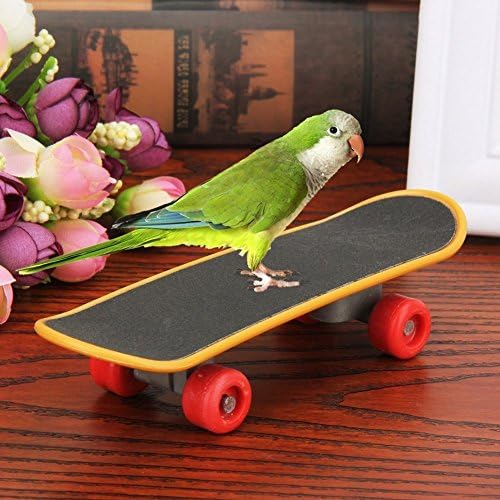 Bird Parrot Intelligence Toys Training Skateboard Stand Perch for Parakeet Budgies Cockatiels Lovebird Funny Talbe Toy