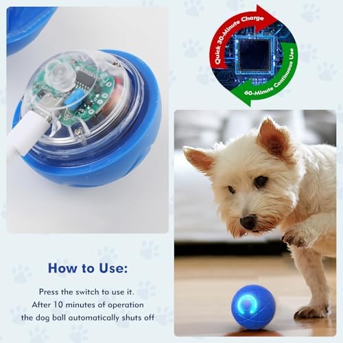 Interactive Dog Toys, Blue, Small Dogs