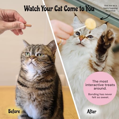 MalsiPree Cat Lollipop Treats - Freeze-Dried Chicken & Pumpkin, 18pk
