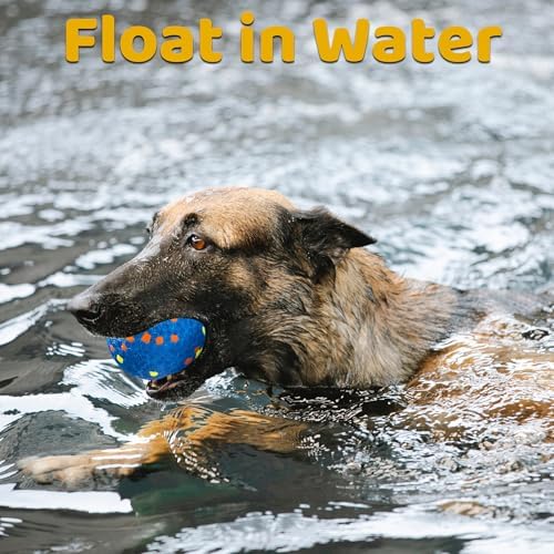 Dog Balls, Indestructible Dog Toy Ball for Aggressive Chewers, Durable High Elasticity Interactive Ball for Training Dog Catch and Fetch, Large Medium Small Dog and Puppies(Blue, 2.5in, 2pcs)