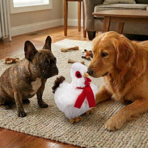 Fuzzl Plush Super Soft Cheeky Chicken - Snow White Dog Toy & Comforter – Cuddly Plush with Squeaker, Gentle Dog Toy for Puppies & Small to Medium Dogs