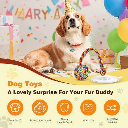 Interactive Dog Toy with Suction Cup, Rope Ball & Built-in Bell, Rainbow