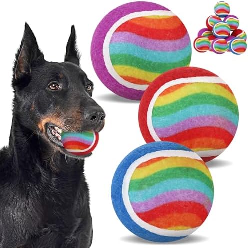 EXPAWLORER Squeaky Tennis Balls for Dogs-12 Pack High Elastic Dog Toy Balls