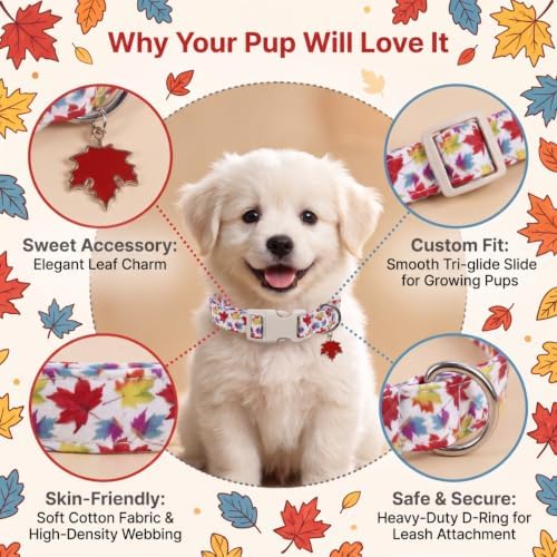 Fall Dog Collar, Puppy Collar for Extra Small Breeds, XS