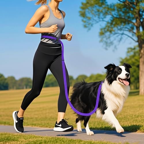 Puppy Dog Collar & Hands-Free Dog Leash Adjustable Length 5-8 Ft Adjustable Nylon Collar with Quick-Release Buckle