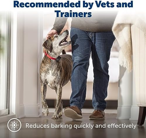 PetSafe Basic Bark Control Collar | Progressive Static Correction, Warning Beep, Includes Battery, Dogs 8 lb+, Neck 5-27 in