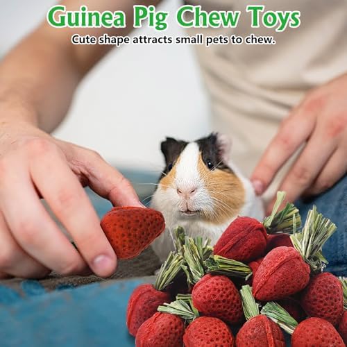 Fhiny Rabbit Chew Toys, 24 PCS Natural Hamster Molar Snacks Handmade Small Animal Chew Toys for Teeth Timothy Hay Treats Habitat Decor for Bunny Guinea Pig Chinchilla Hamster Gerbil Dental Care