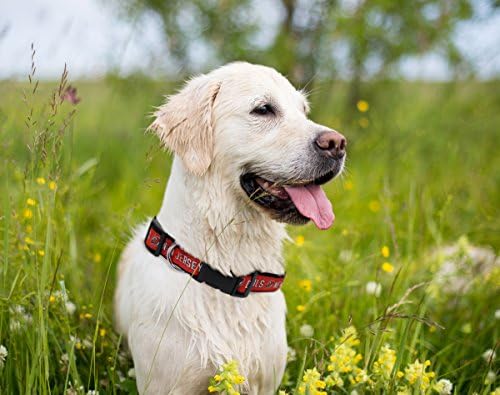 Pets First NHL Collar for Dogs & Cats. Adjustable, Cute, & Stylish! The Ultimate Hockey Fan Collar!