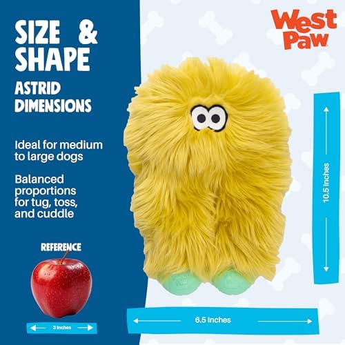 WEST PAW Rowdies Astrid Durable Plush Dog Toy with Reinforced Seams and Chew Resistant Design for Tough Play Safe Indoor or Outdoor Fun for Dogs Who Deserve the Best - Citrus