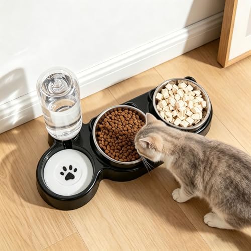 3 in 1 Cat Bowl, Cat Food and Water Bowl Set, Stainless Steel Cat Food Bowls Elevated with Tilted Design, 2 Pet Dish & Automatic Water Dispenser Feeding Station, Small or Medium Sized Dogs