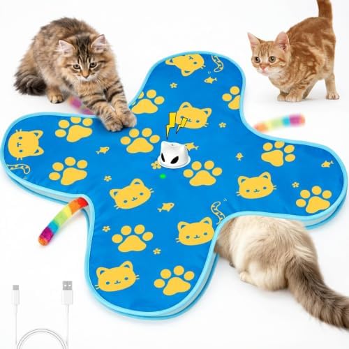 Interactive Cat Toys for Indoor Cats, Rechargeable Hide & Seek Toy