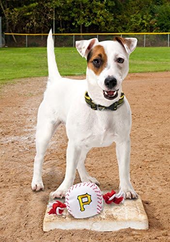 MLB Pittsburgh Pirates Baseball Rope Toy for Dogs & Cats. Tough Nylon, Sporty Baseball Design, Heavy-Duty Ropes with Inner Squeaker