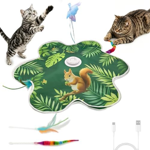 Interactive Cat Toy Mat, Rechargeable Hide & Seek Feather Toy