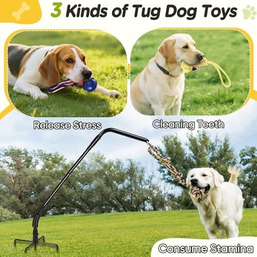 AugFir Tether Outdoor Dog Rope Toy with Strengthen Spring Pole, 3 Kinds Dog Tug of War Toys for Self Play and Interactive in Park, Yard, Lawn Rope, Suitable for Large Medium Small Dogs (Black)