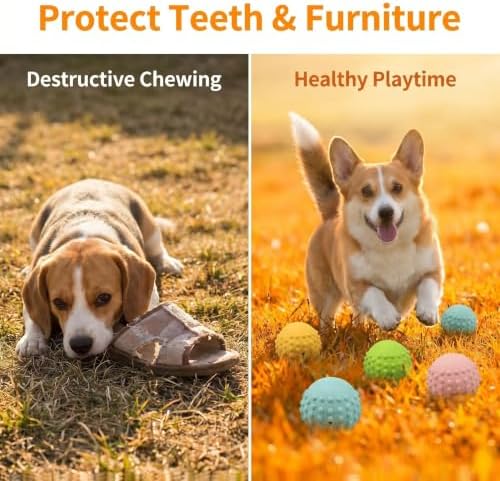 Squeaky Dog Toys for Puppy Small Medium Dogs, 4PCS